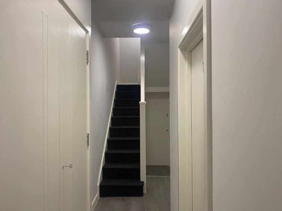 Lägenhet Private Garden 1bed Studio Apart Battersea Perfect For Coupled Or Solo Travellers Pet Friendly Free Netflix & Wifi London