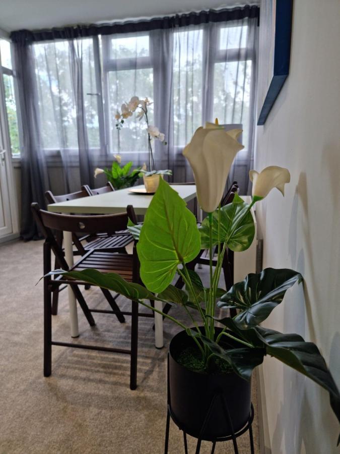 Apartment Remarkable 3-bed In *