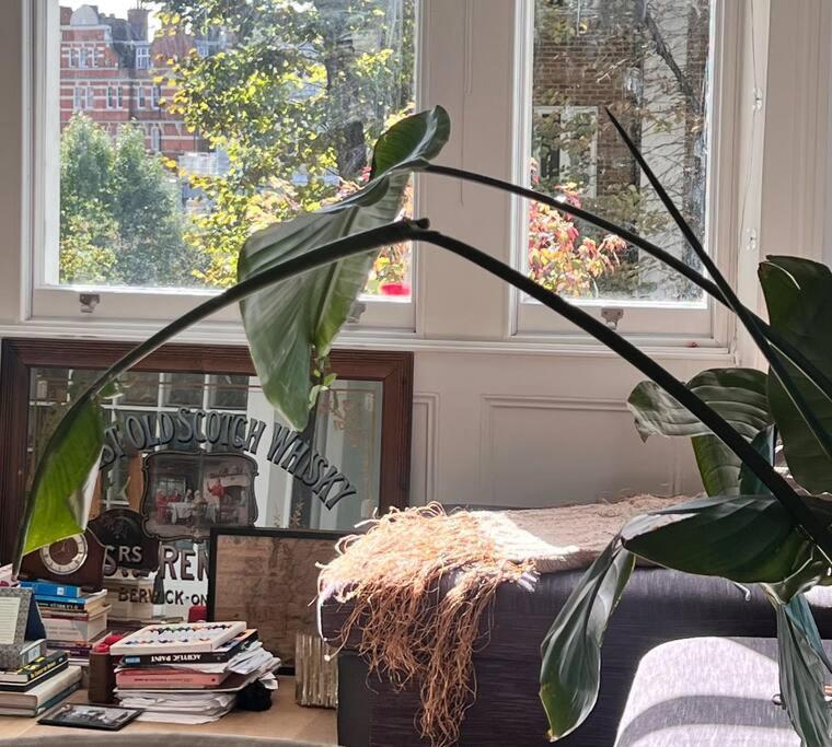 Lejlighed Lovely Flat Near Holland Park *