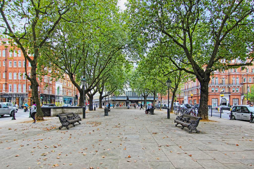 Lifestyle - Chelsea Londen