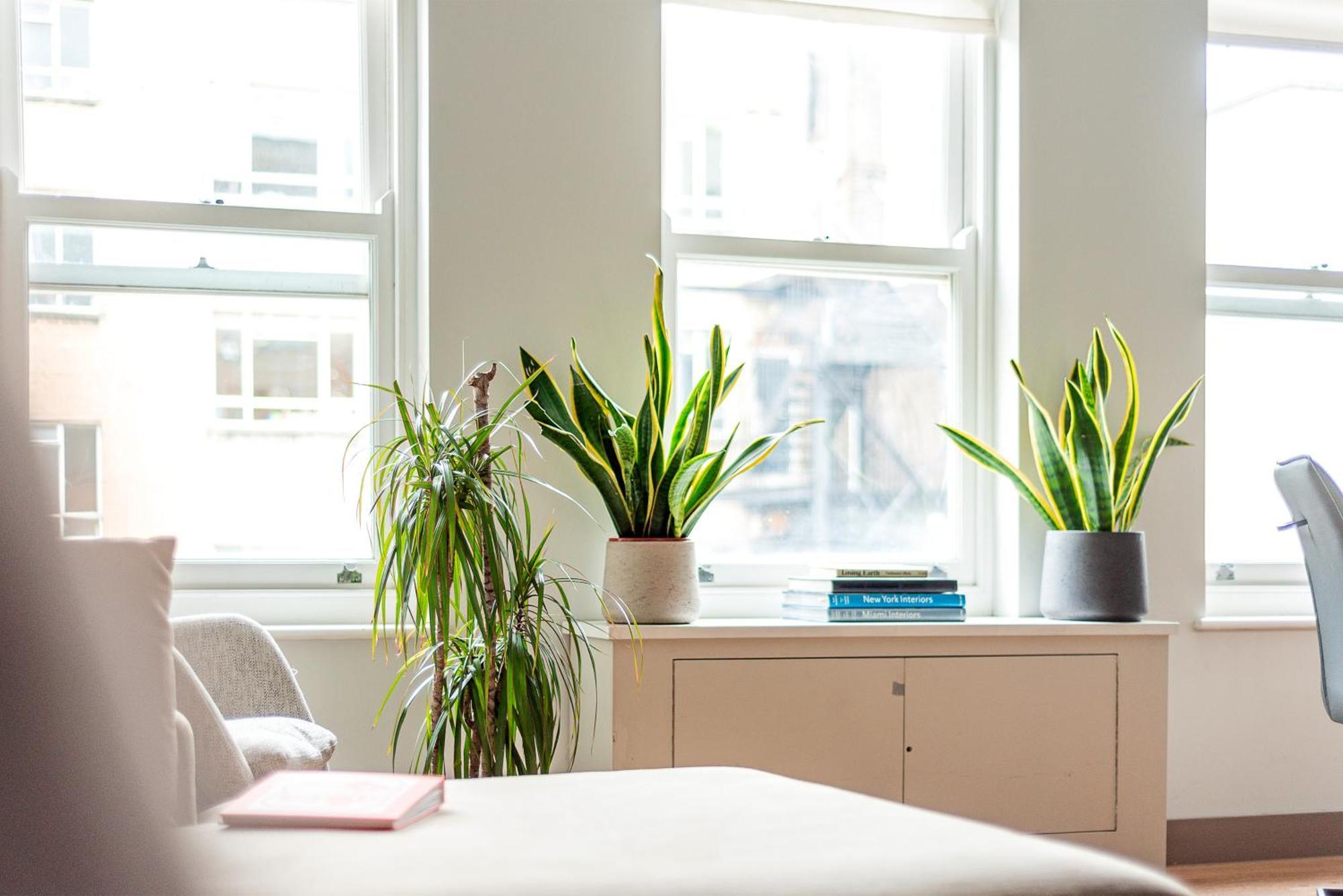 Arcore Premium Apartments: Mayfair * Londra