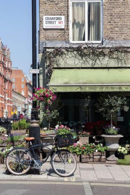 Gloucester Place/marylebone Apartment *