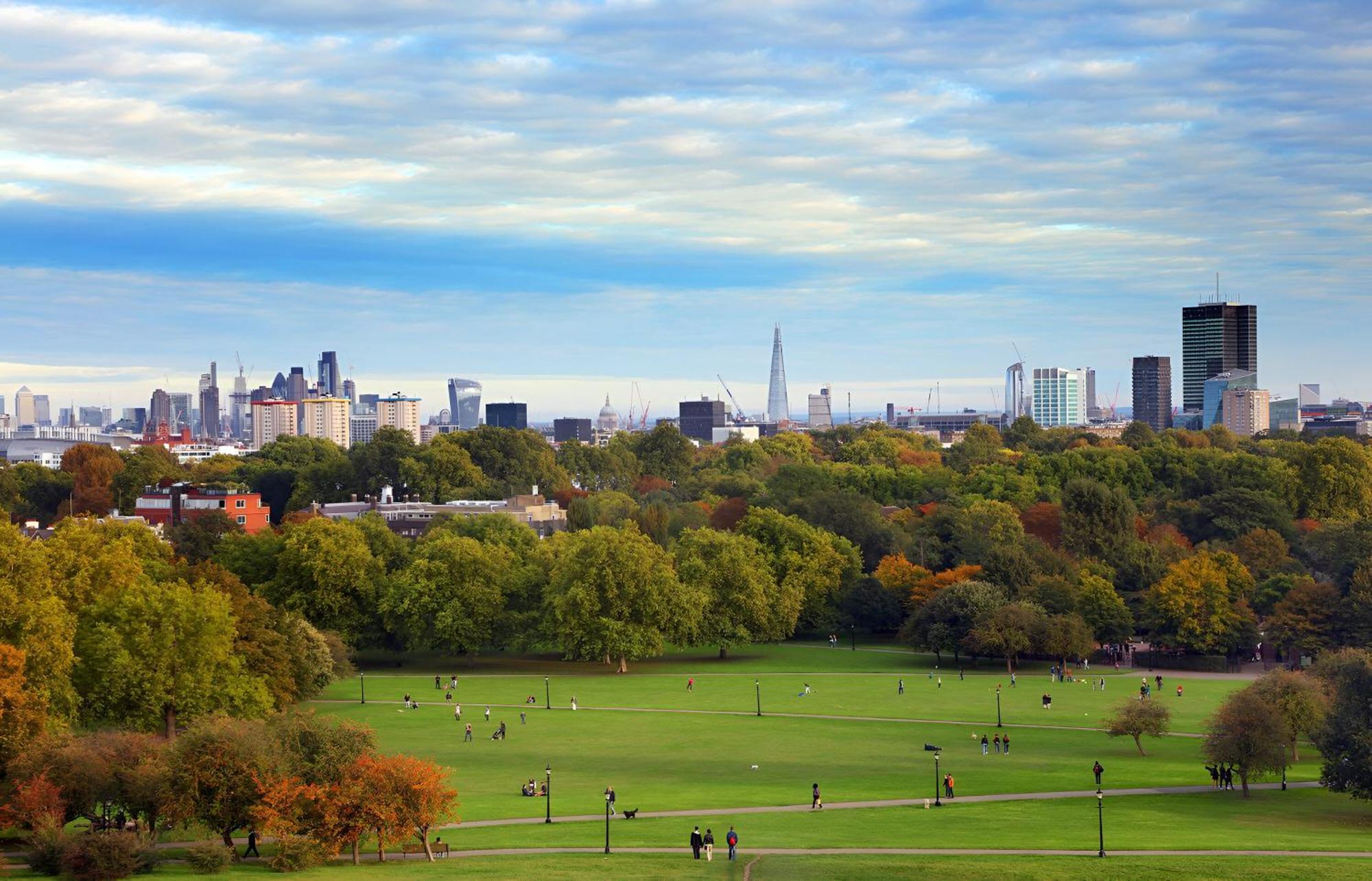 Cityscape Oasis Chic For Urban Dwellers *