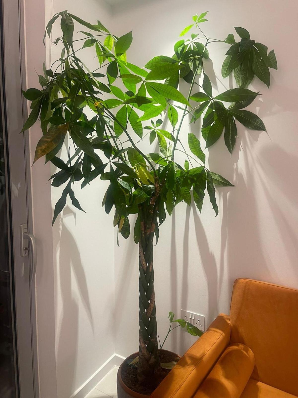 Luxury 1 Bedroom In With Free Parking Appartamento Londra