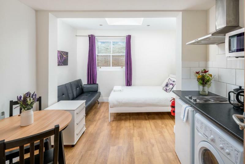 Hotel Oyo Plender Street 1 London