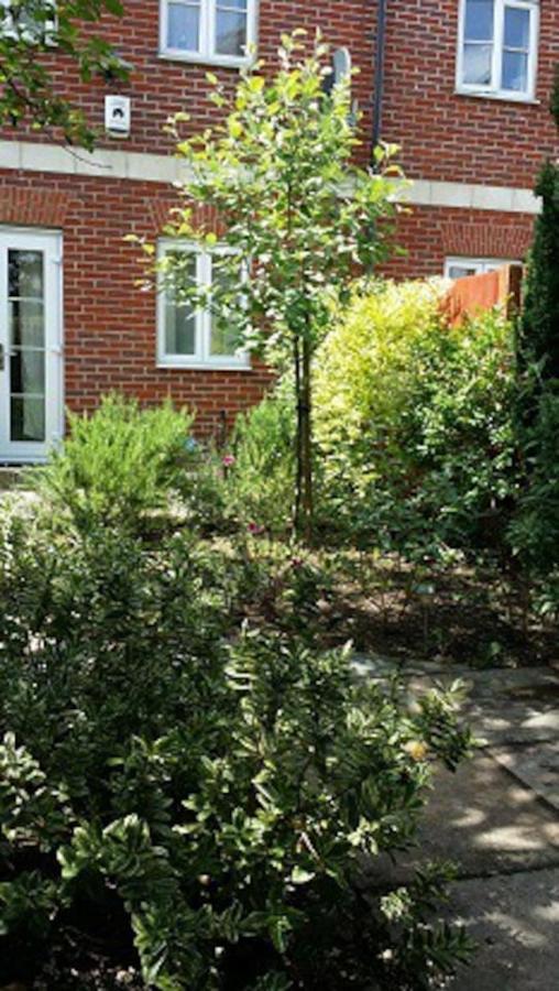 Appartement Single In Woolwich Arsenal Londen