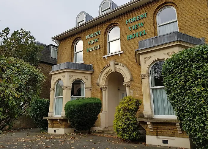 Forest View Hotel