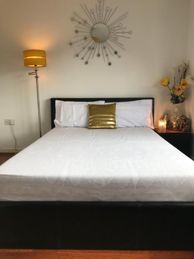 Spacious House 15min To Canary Wharf/o2/excel/central Feriehus London