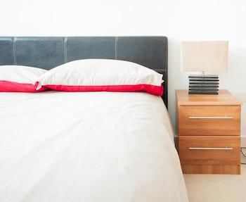 Luxury Apartment London