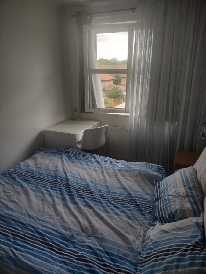 Quiet And Peaceful Double Bedroom In A Nice House With A Very Large Patio Londen