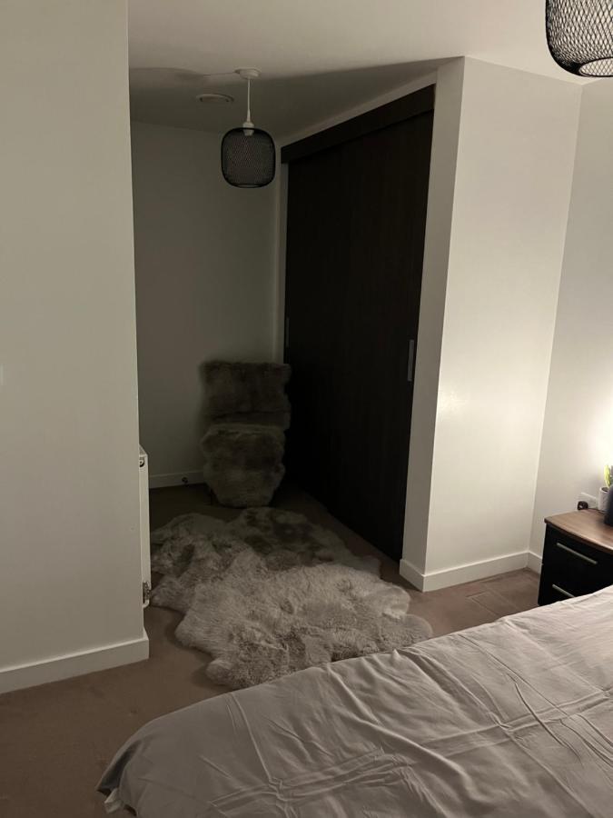 Luxurious Dlr Appartement