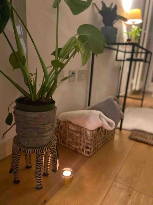Spitalfields Market Penthouse Flat With Balcony Lägenhet