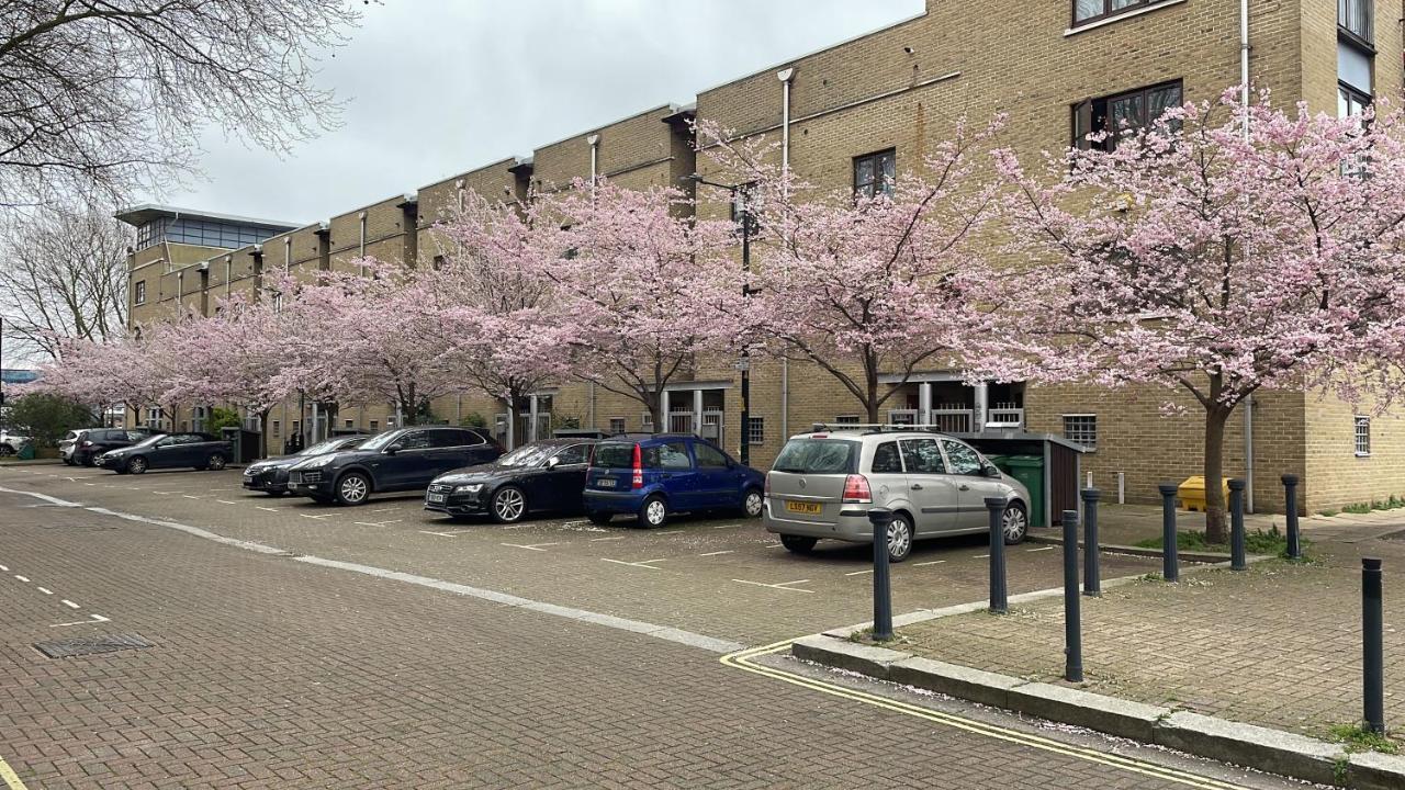Plough Way Flat