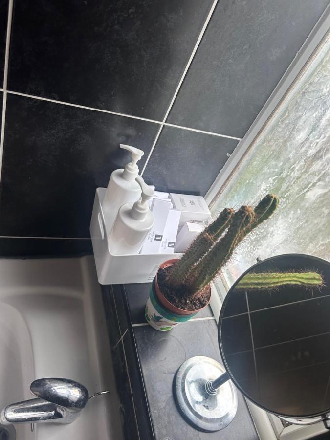 Cozy Venus Accommodatie bij particulieren