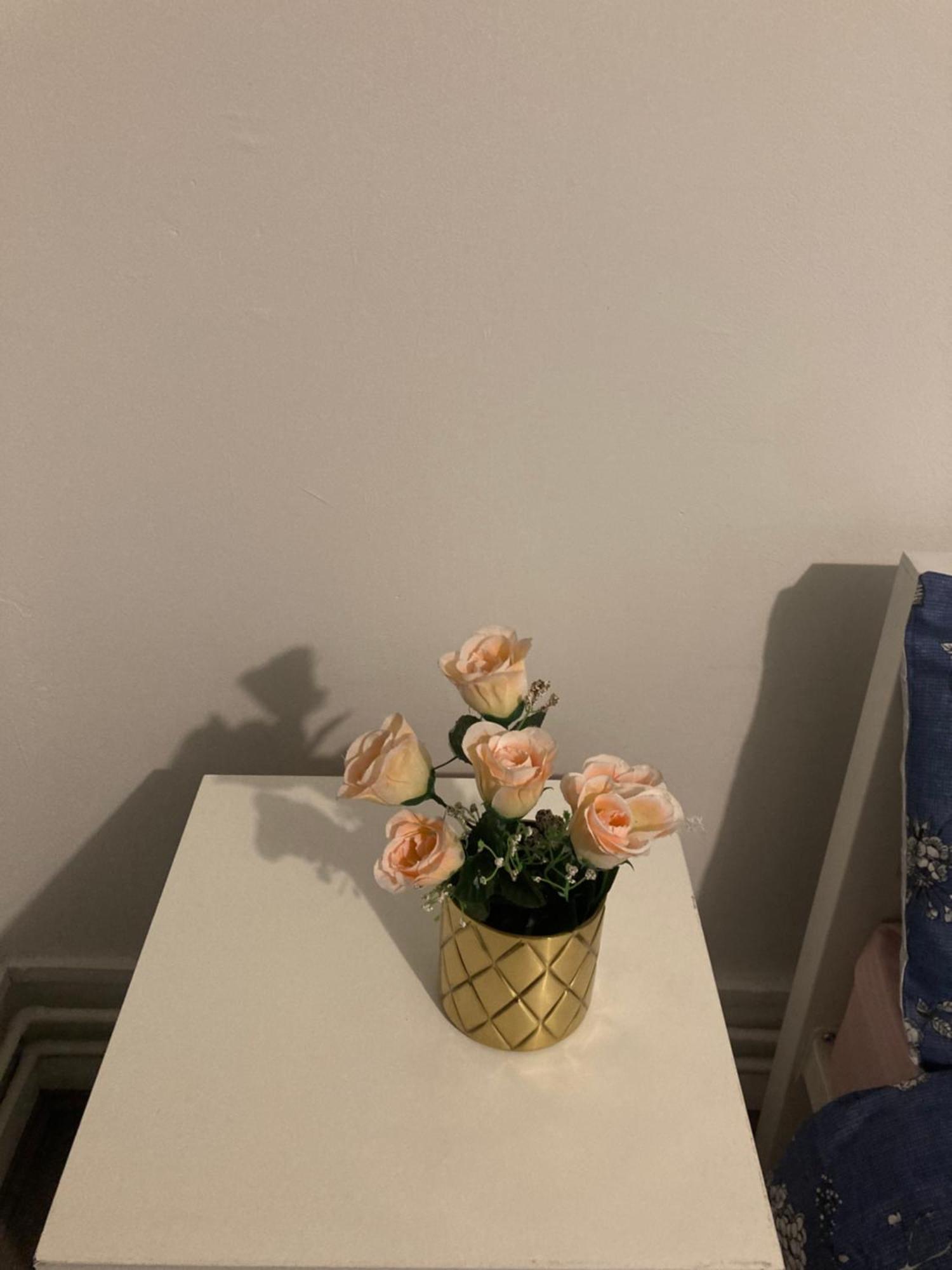 Privat overnatting Kingdom - 12 Hamilton *