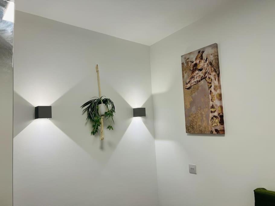 Apartment Stunning Two Bed Flat In