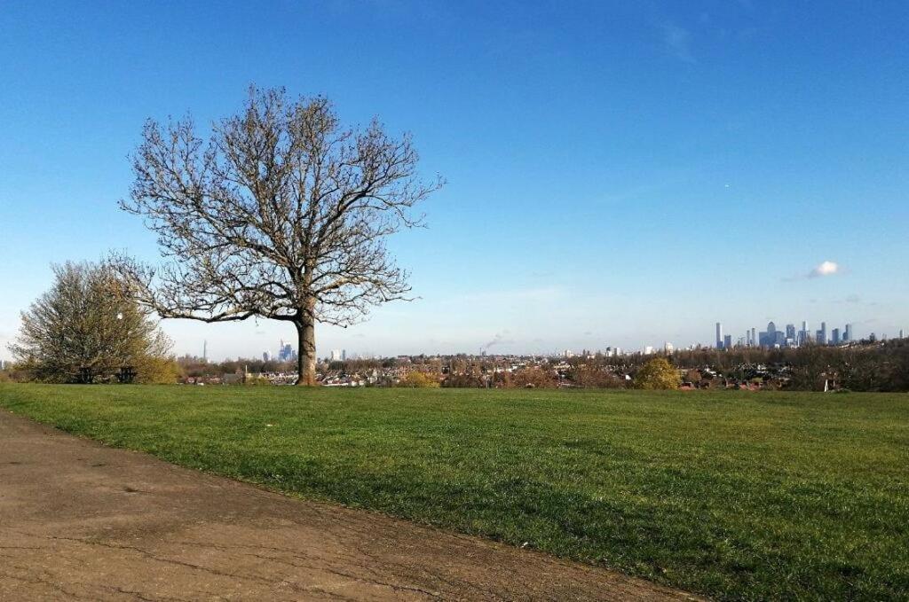 Appartement Spacious Modern 1-bedroom In Catford - Excellent Transport Links - Ideal For Long Londres