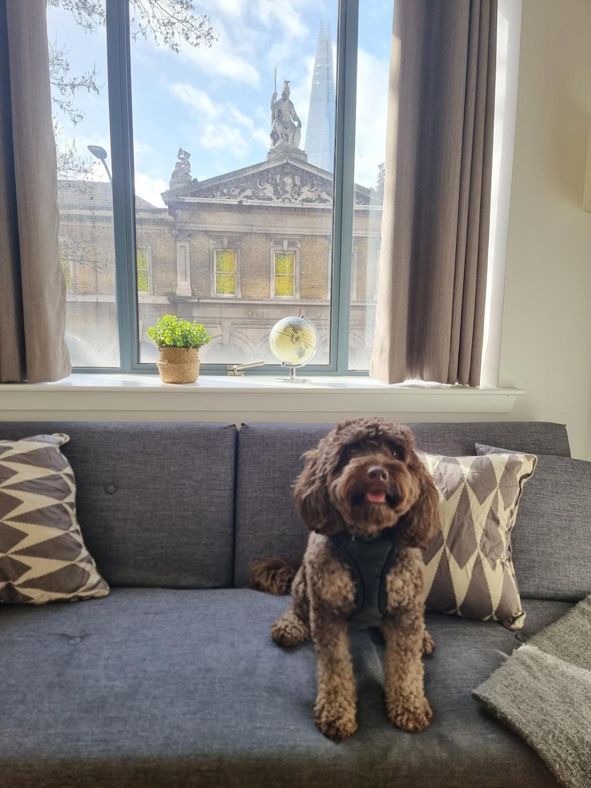 2bed Flat At Bridge With Shard Views & Lift * Londra