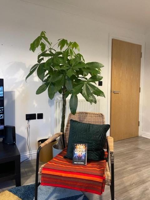 Lovely 2 Bedroom Flat With Free Parking And Wifi * Londen