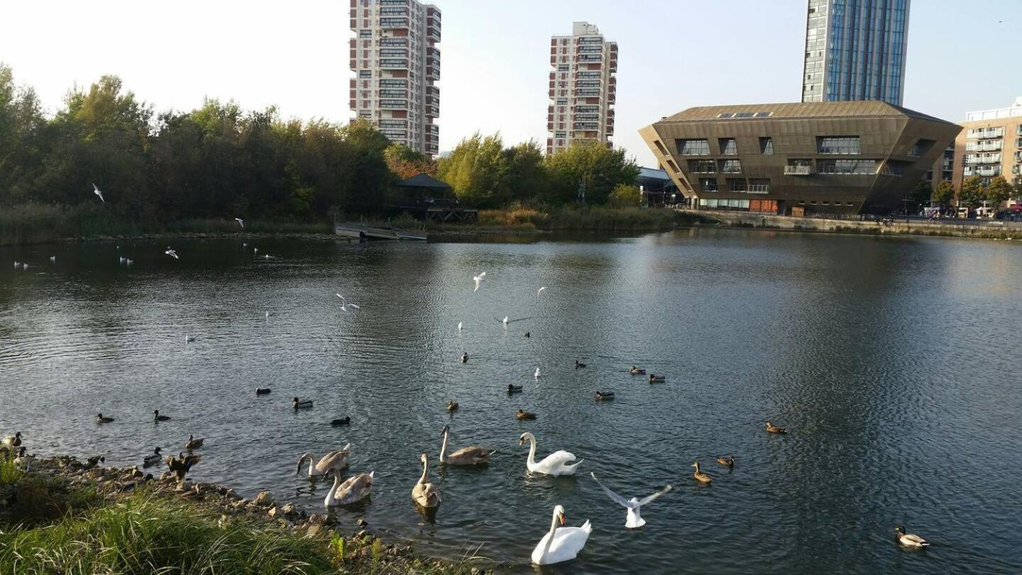 Chic 2-bedroom In Canada Water, - Stylish Retreat Near The River Thames Apartment London