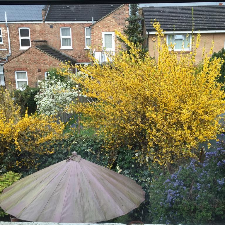 Catford Privat overnatting *