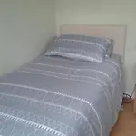 Sunny Single Room In Tooting
