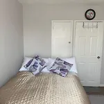 One Double Bedroom In A Shared Apartment