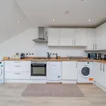 Modern 1 Bedroom City Penthouse Apartment