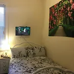Tdm Bachelot Lettings Ltd