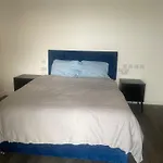 Modern, Bright And Convenient