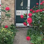 Beautiful Double Bedroom In Shared Flat Near Olympic Park In Stratford London