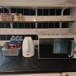 Flat With Work Station, Monitor, Smart Tv & Netflix
