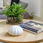 1 Bed Apartment- Mayfair 6