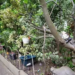 Charming Garden London Hideaway!