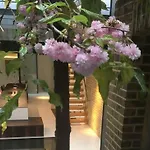 Nice Home In London