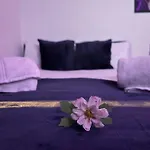Entire Apartment Camden