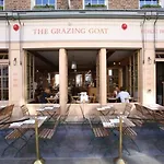 The Grazing Goat
