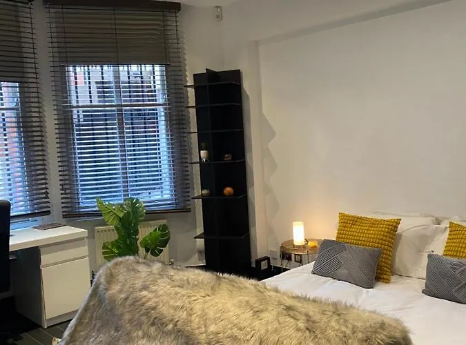 Beautiful Modern Studio In High Street Kensington