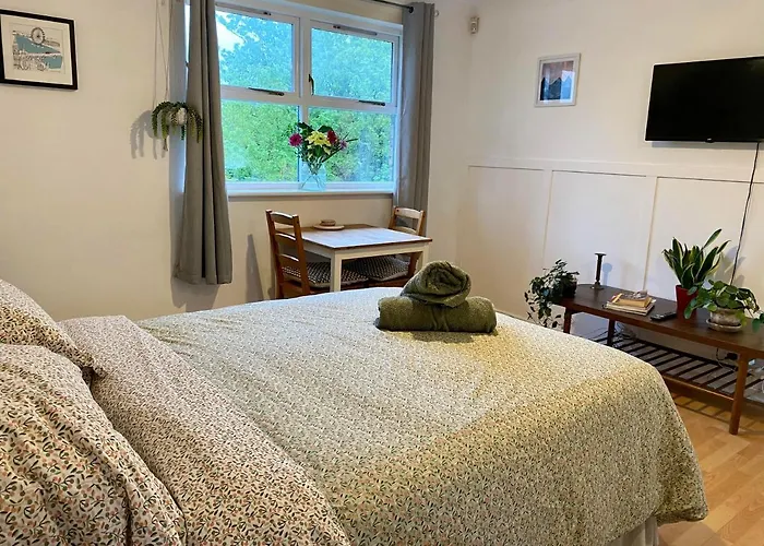 Bright And Comfortable Studio Apartment