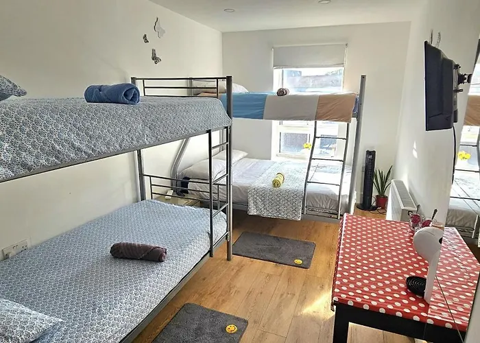 Alpha Accommodations