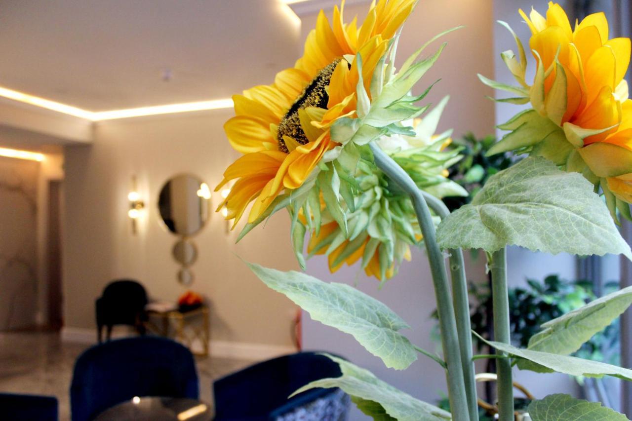 Nox Waterloo Aparthotel 4*