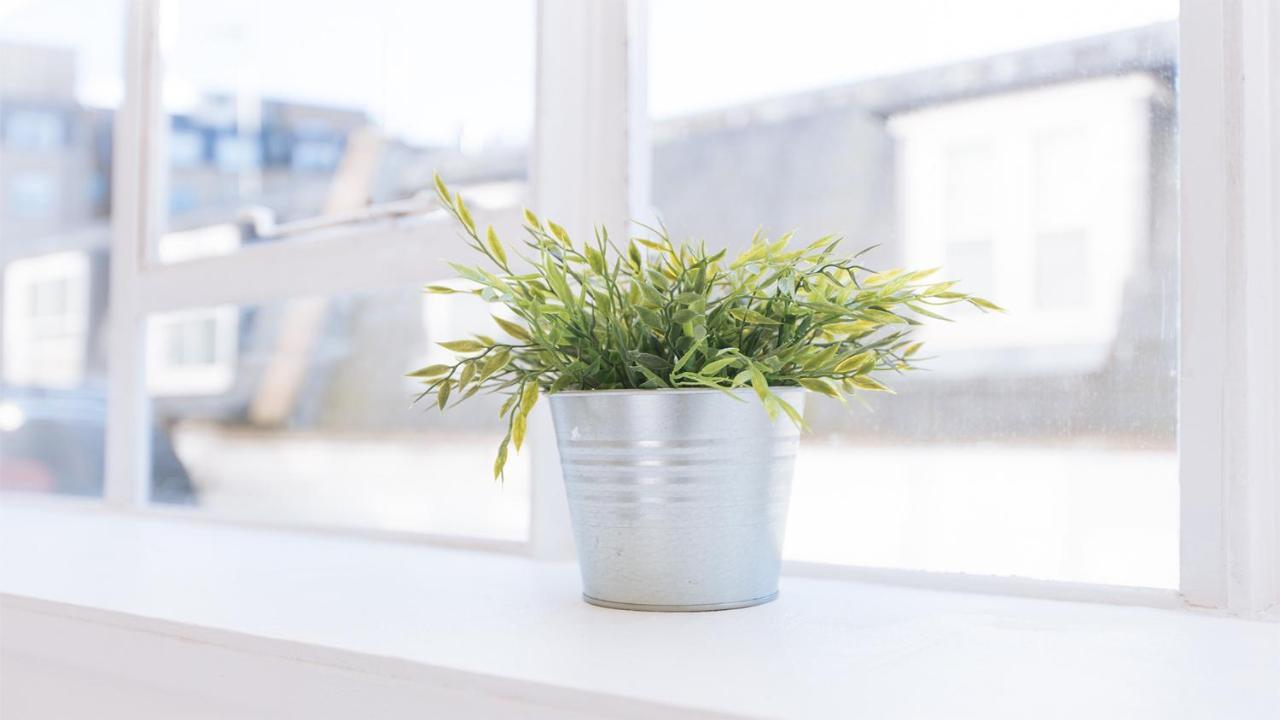 Flat At Paddington Zone 1