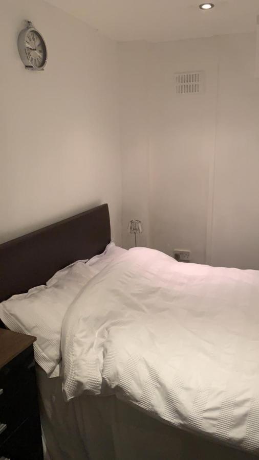 Comfort Studio Leilighet