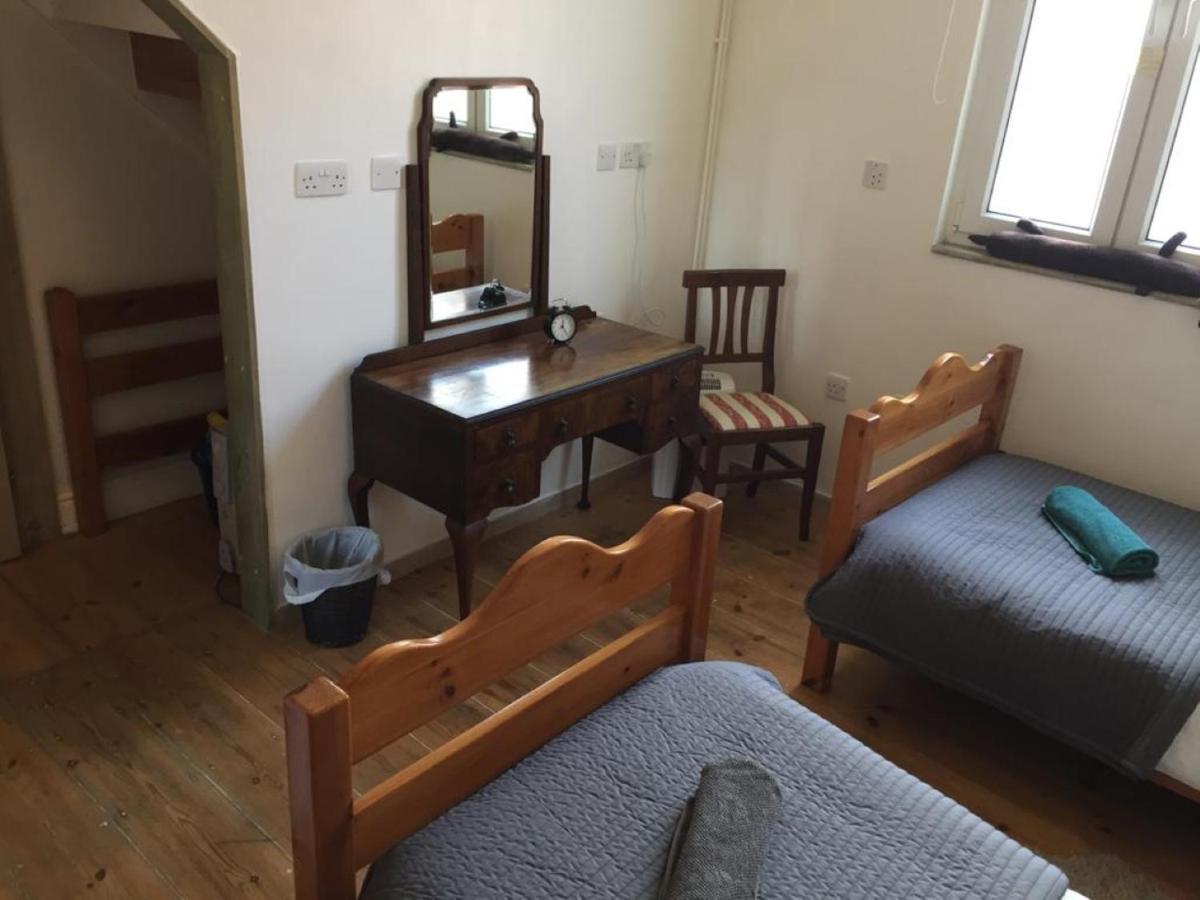 Lovely Twin With Terrace Apartment London