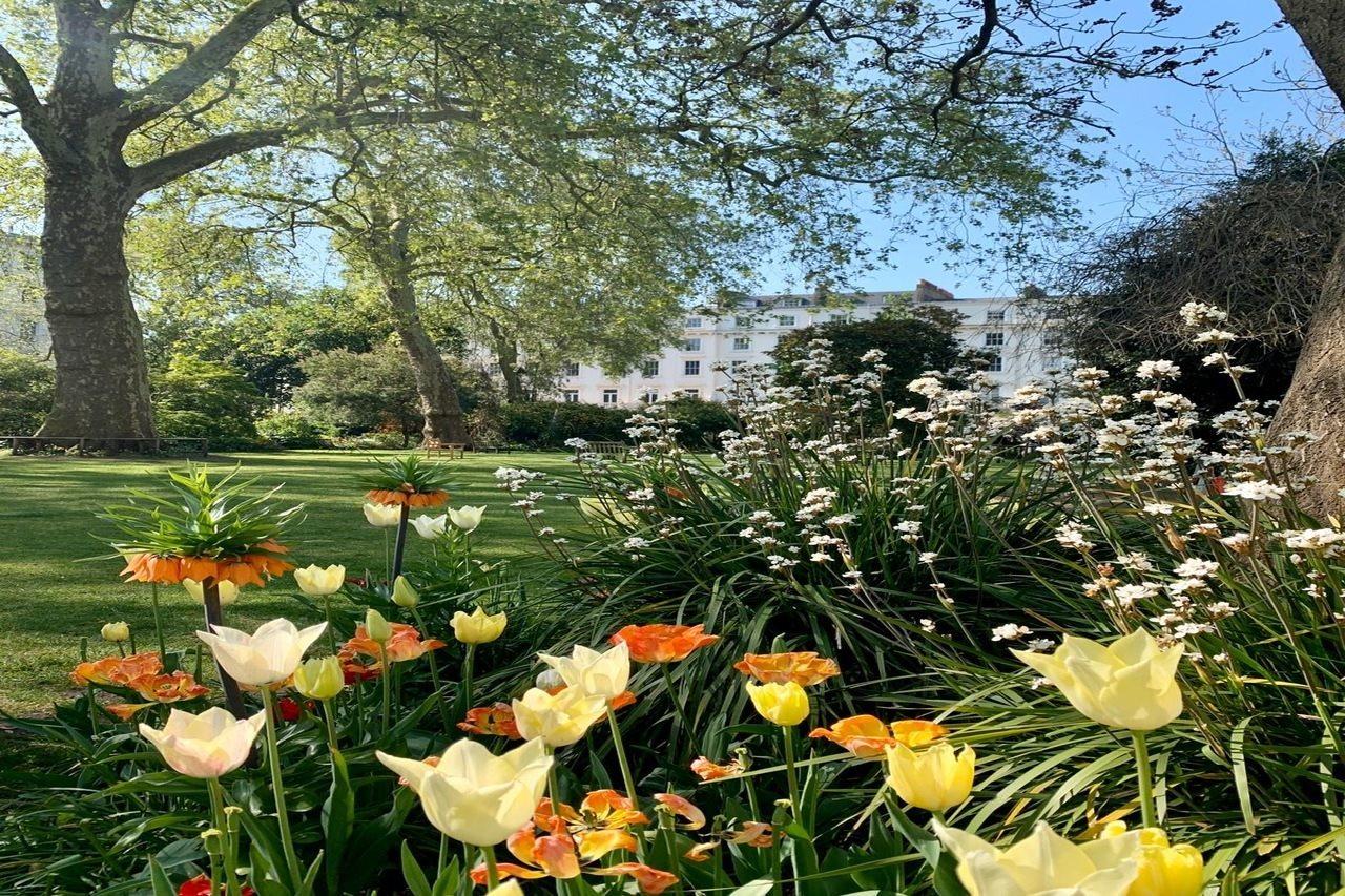 Eccleston Square Hotell 4*