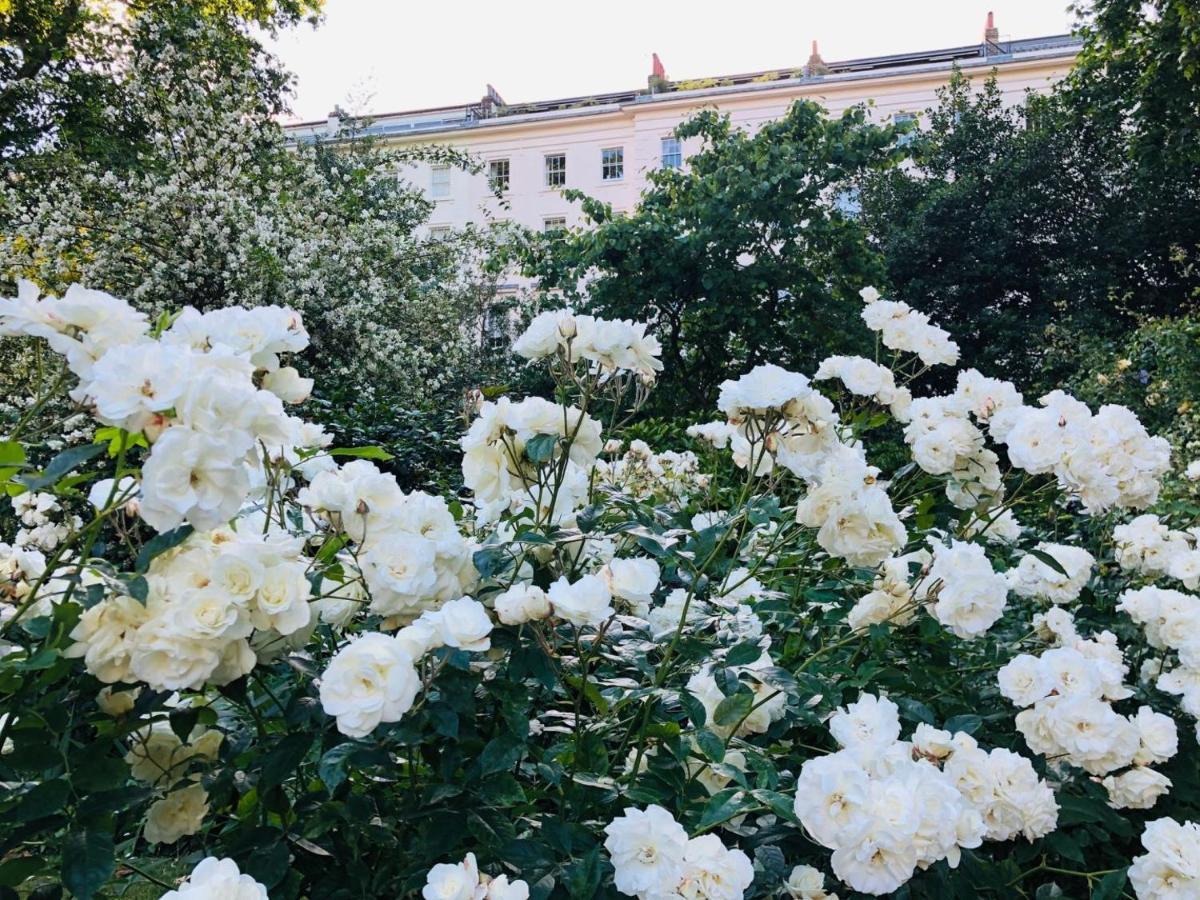 Southern Belgravia Lägenhet