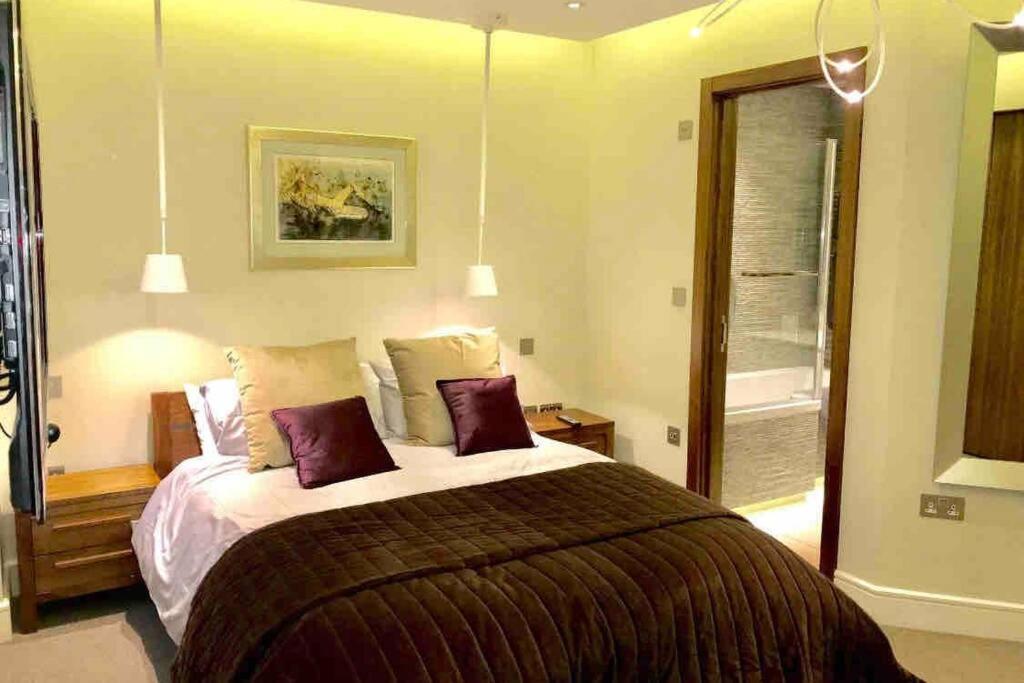 Marylebone Mayfair Hyde & Regents Park W1 London