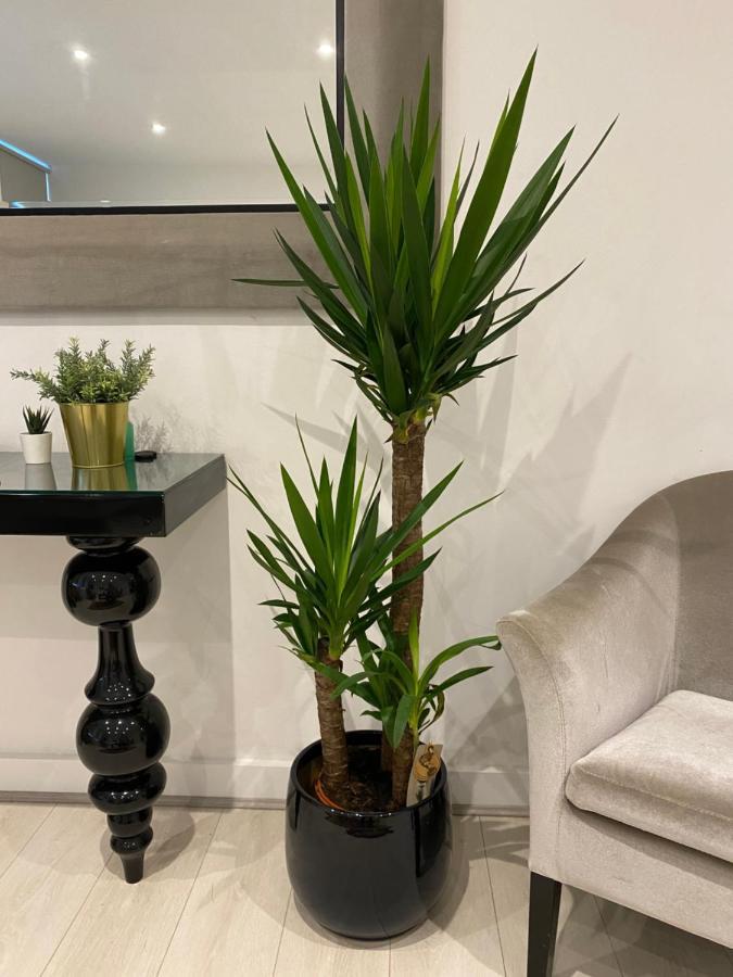Aparthotel Kings Road With En-suite Bath London