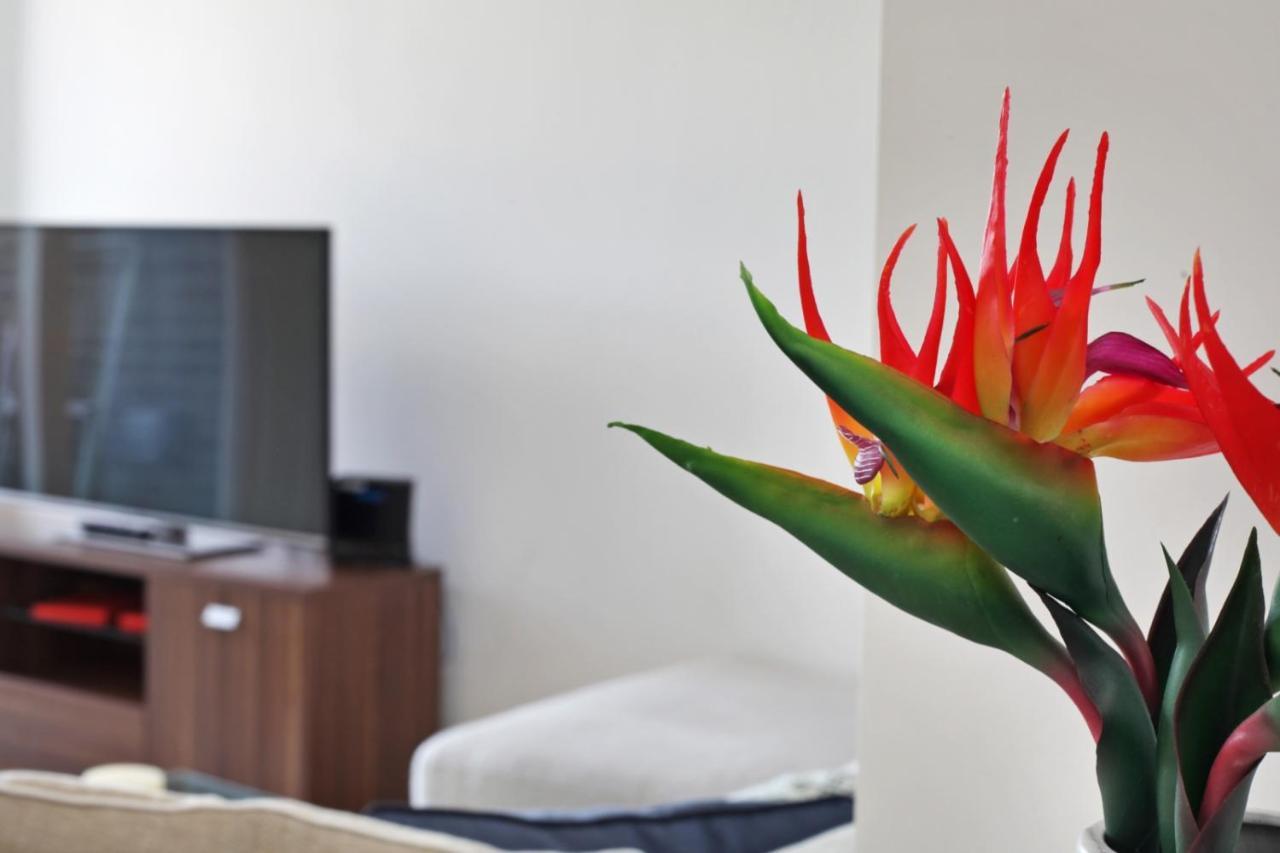 Apartment Lux 2 & 3 Bed In Camden Town Free Wifi By Aparts London