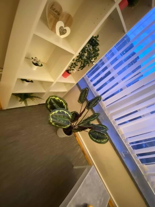 Luxury In Woolwich Arsenal London